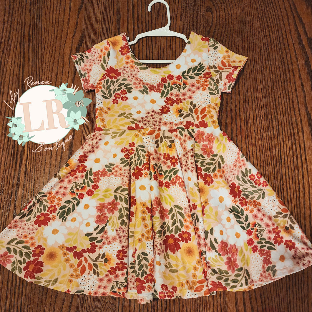 2T  Twirl Dress